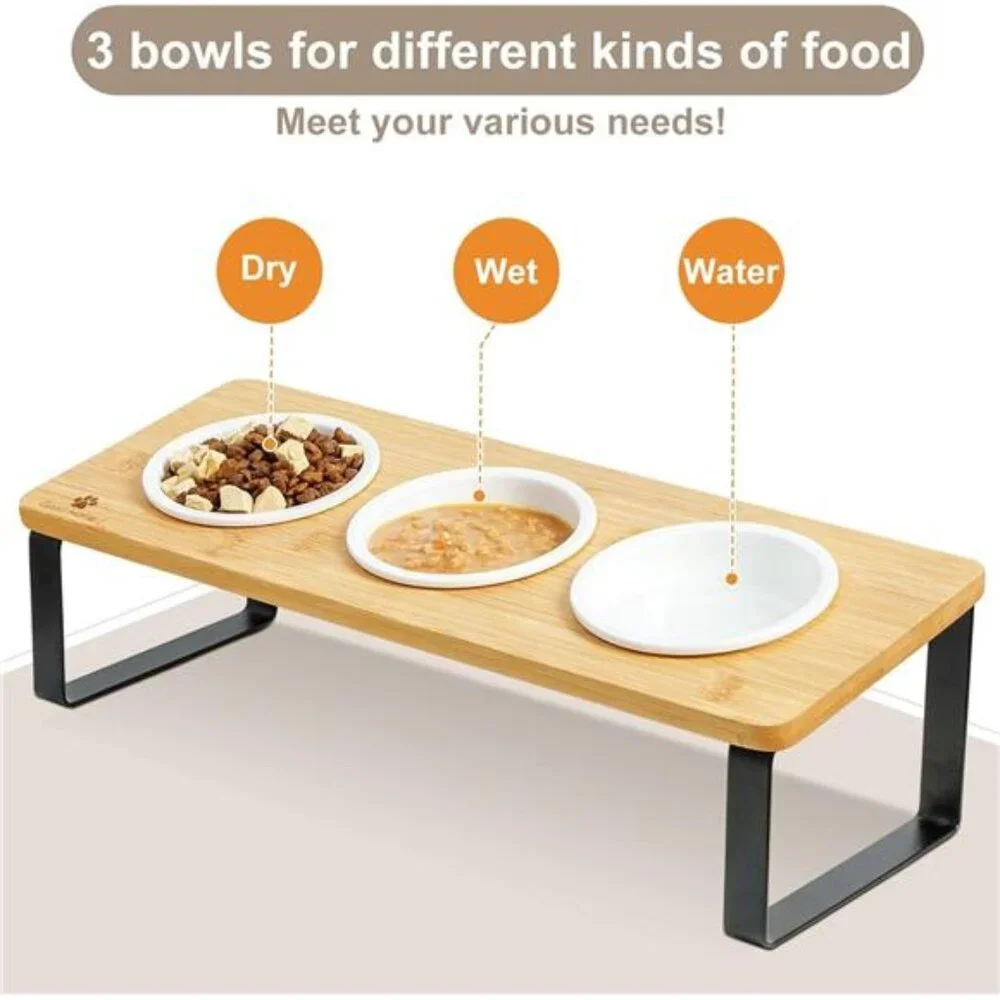 Raised Cat Food Water Bowl Elevated Tilted Kitty Dishes Set of 3 Ceramic Dish